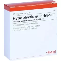 HYPOPHYSIS SUIS Ampollas Injeel, 10 piezas