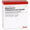 MAGNESIUM PHOSPHORICUM INJEEL ampollas fuertes, 10 piezas
