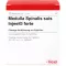 MEDULLA SPINALIS Suis Injeel Forte ampollas, 10 piezas