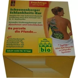 SCHLANKHEITSKUR Schoenenberger afrutado, 1 p