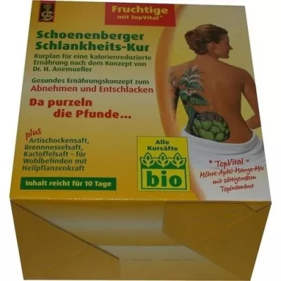 SCHLANKHEITSKUR Schoenenberger afrutado, 1 p