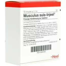 MUSCULUS SUIS Ampollas Injeel, 10 piezas