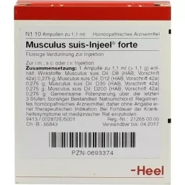 MUSCULUS SUIS Ampollas Injeel Forte, 10 piezas
