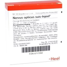 NERVUS OPTICUS ampollas suis Injeel, 10 piezas