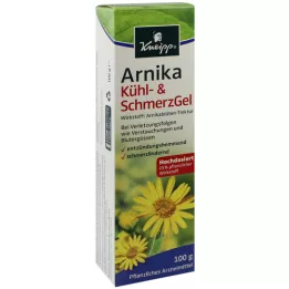 KNEIPP Gel refrescante de árnica &amp; gel para el dolor, 100 g