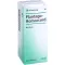 PLANTAGO HOMACCORD Gotas, 30 ml