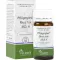 PFLÜGERPLEX Rhus tox.353 H tabletas, 100 piezas