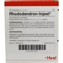 RHODODENDRON INJEEL Ampollas, 10 piezas