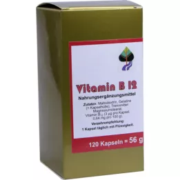 VITAMIN CÁPSULAS B12, 120 uds