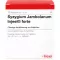 SYZYGIUM JAMBOLANUM INJEEL ampollas fuertes, 10 piezas