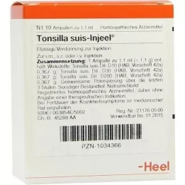 TONSILLA SUIS Ampollas Injeel, 10 piezas
