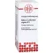 STIBIUM SULFURATUM NIGRUM Dilución D 8, 50 ml
