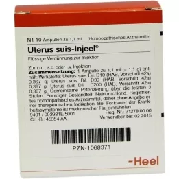 UTERUS SUIS Ampollas Injeel, 10 piezas
