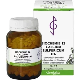 BIOCHEMIE 12 tabletas de calcio sulfuricum D 6, 500 piezas