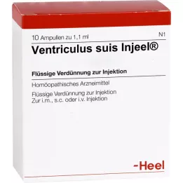 VENTRICULUS SUIS Ampollas Injeel, 10 piezas