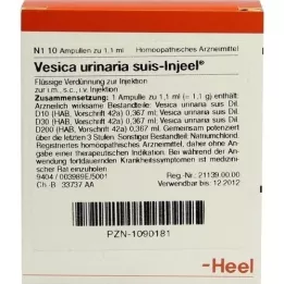 VESICA URINARIA ampollas suis-Injeel, 10 piezas