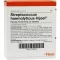 STREPTOCOCCUS HAEMOLYTICUS Ampollas Injeel, 10 piezas