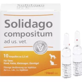 SOLIDAGO COMPOSITUM ampollas ad us.vet, 10 piezas