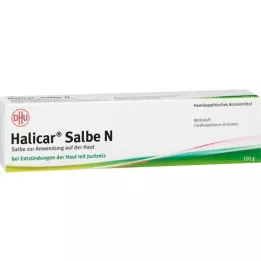 HALICAR Ungüento N, 100 g