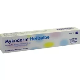 MYKODERM Ungüento curativo Nistatina y óxido de zinc, 50 g