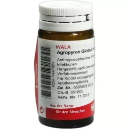 AGROPYRON Globos velados, 20 g
