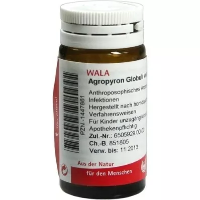 AGROPYRON Globos velados, 20 g