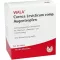 CORNEA Levisticum comp.gotas para los ojos, 30X0,5 ml