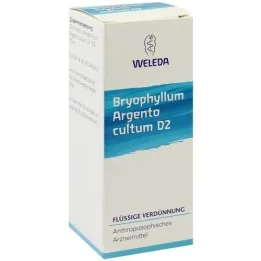 BRYOPHYLLUM ARGENTO dilución cultum D 2, 50 ml