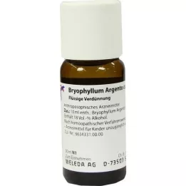 BRYOPHYLLUM ARGENTO dilución cultum D 3, 50 ml