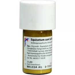 EQUISETUM CUM Azufre tostum D 6 Trituración, 20 g