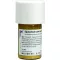 EQUISETUM CUM Azufre tostum D 6 Trituración, 20 g