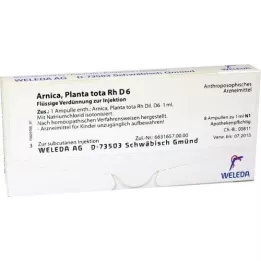 ARNICA PLANTA total Rh D 6 ampollas, 8X1 ml