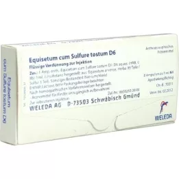 EQUISETUM CUM Sulfuro tostum D 6 ampollas, 8X1 ml