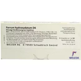 FERRUM HYDROXYDATUM D 6 ampollas, 8X1 ml