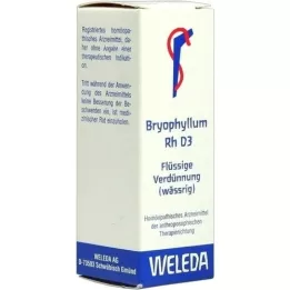 BRYOPHYLLUM RH Dilución D 3, 20 ml