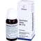 GENTIANA LUTEA RH Jugo prensado mezcla al 5%, 20 ml