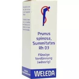 PRUNUS SPINOSA SUMMITATES Dilución Rh D 3, 20 ml