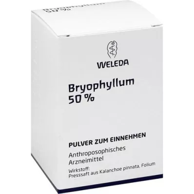 BRYOPHYLLUM 50% polvo oral, 50 g