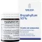 BRYOPHYLLUM 50% polvo oral, 50 g