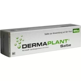 DERMAPLANT Ungüento, 25 g