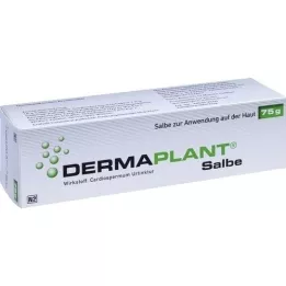 DERMAPLANT Ungüento, 75 g