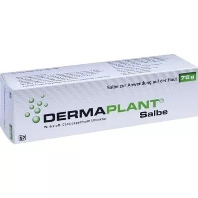 DERMAPLANT Ungüento, 75 g