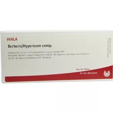 BERBERIS/HYPERICUM comp. ampollas, 10X1 ml