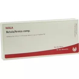 BETULA/ARNICA comp. ampollas, 10X1 ml