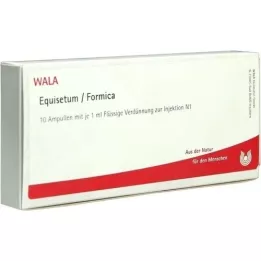 EQUISETUM/FORMICA Ampollas, 10X1 ml