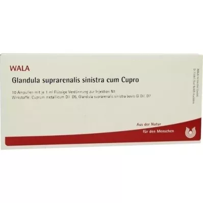 GLANDULA SUPRARENALIS ampollas de sinistra cum cupro, 10x1 ml