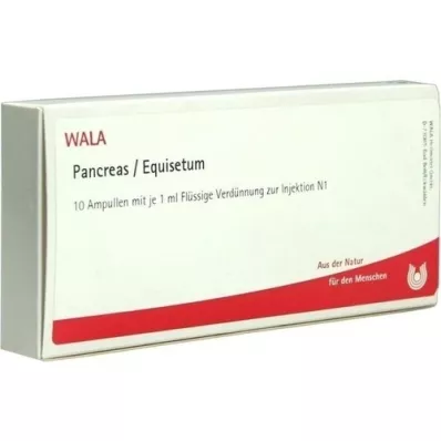 PANCREAS/EQUISETUM Ampollas, 10X1 ml PANCREAS/EQUISETUM Ampollas, 10X1 ml