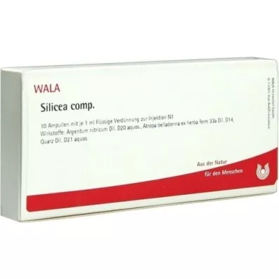 SILICEA COMP.Ampollas, 10X1 ml