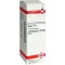 ARNICA Dilución D 4, 20 ml