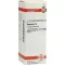 BRYONIA Dilución D 4, 20 ml